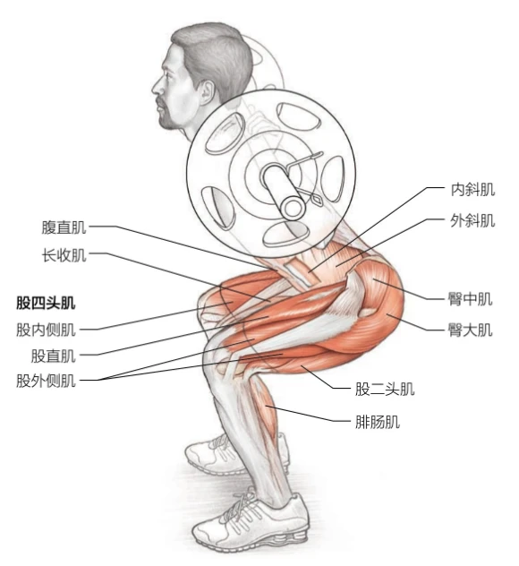 如何通过数据分析改进篮球比赛战术训练_2